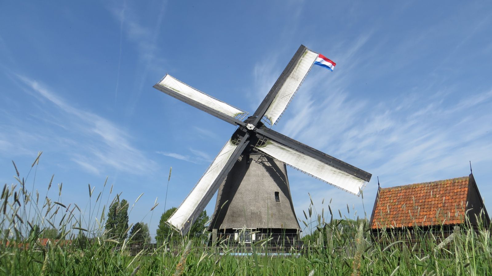 windmills-alkmaar-amsterdam-koning
